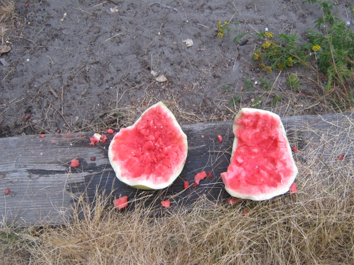 Watermelon