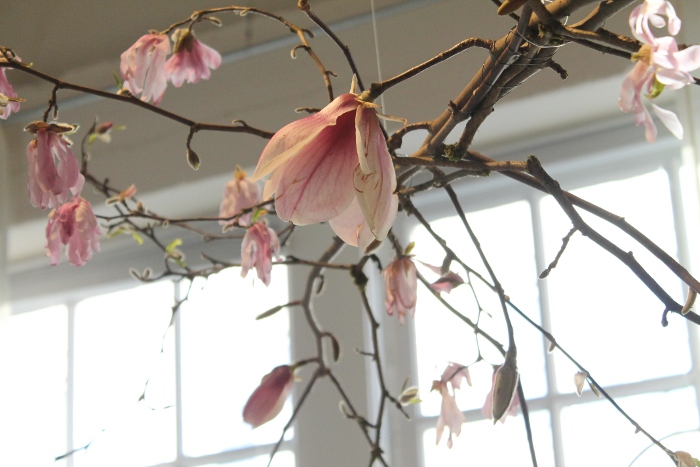 Beautiful pink flowers hung from the ceiling